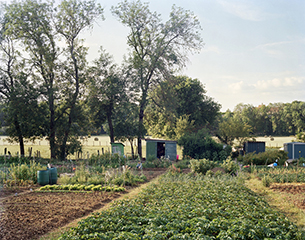 DOMINANTE VERTE <br/> Les Jardins Familiaux