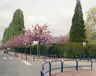 QUESTION DE NATURE  <br /> Saint Etienne du Rouvray