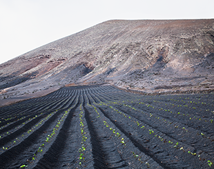 Lanzarote, Iles Canaries