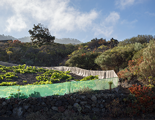 La Palma, Iles Canaries